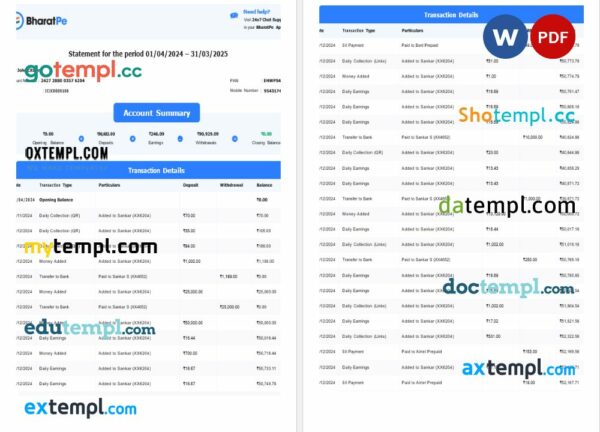 India Bharatpe bank statement 3 - 6 months Word and PDF example, 3 pages