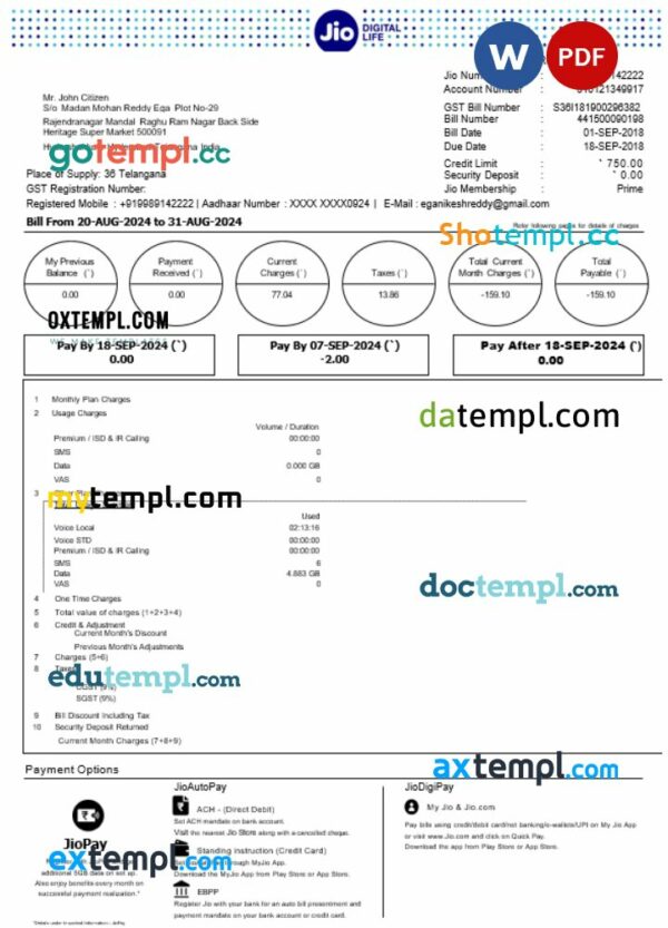 India Jio Digital Life statement Word and PDF example