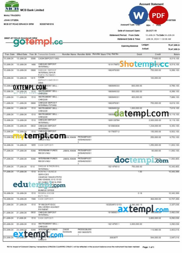 Pakistan MCB bank statement Word and PDF template