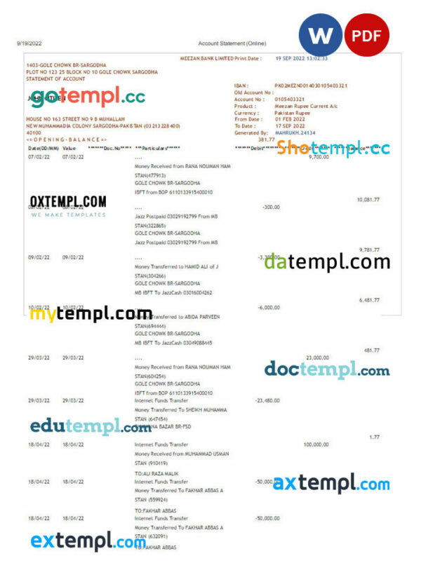 Pakistan Meezan bank statement 3 - 6 months Word and PDF example