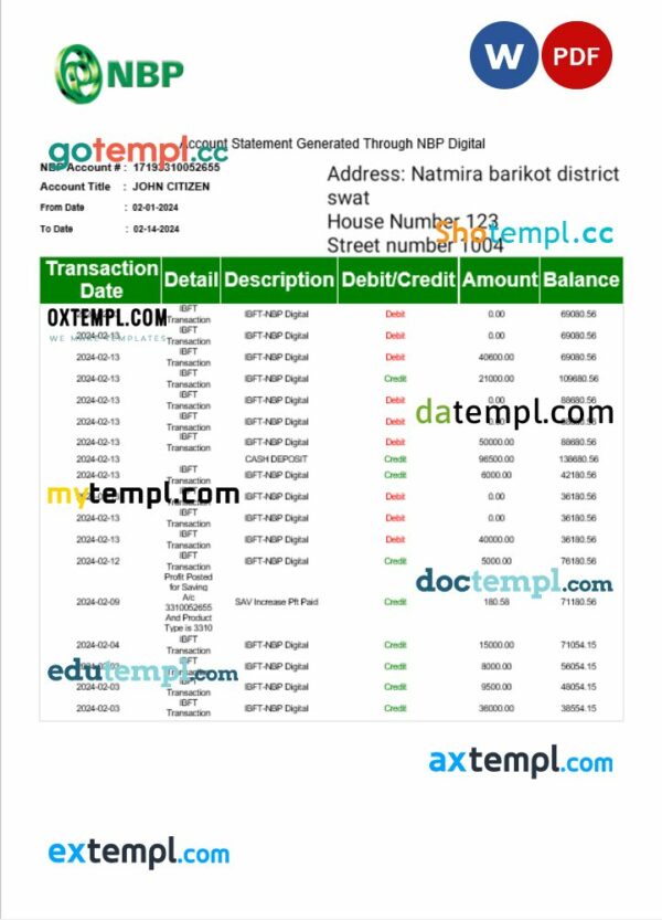 Pakistan NBP bank statement 3 - 6 months Word and PDF example