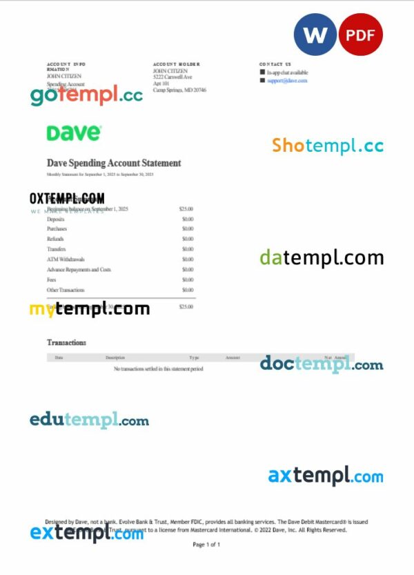 USA Dave bank statement 3 - 6 months Word and PDF example, version 2