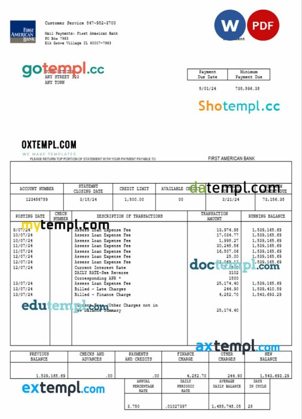 USA First America Bank statement Word and PDF example