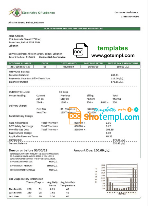 Lebanese Electricity of Lebanese utility bill download example in Word and PDF format