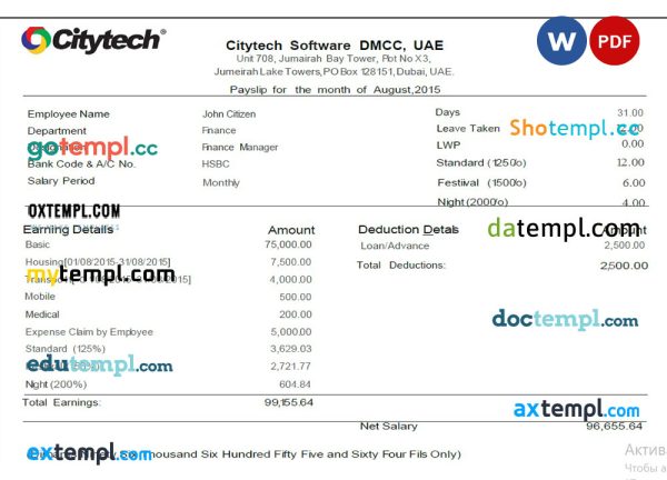 UAE Citytech Software DMCC UAE pay stub example in Word and PDF format