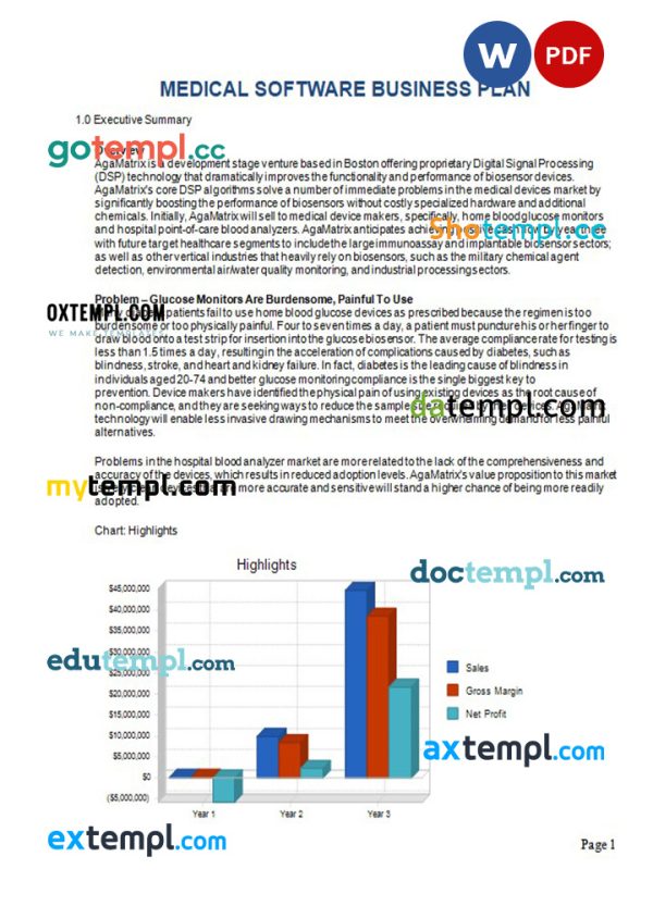 medical software business plan example in Word and PDF formats