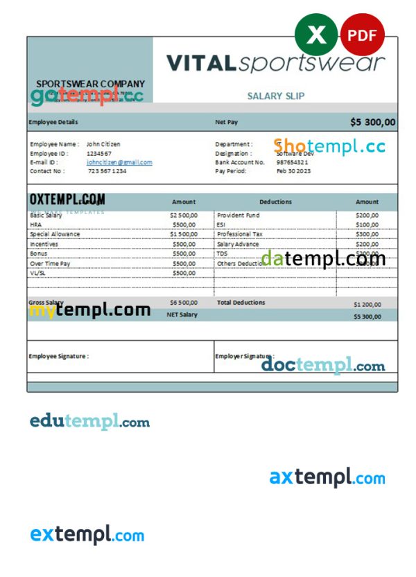 sportswear company earning statement example in Excel and PDF formats