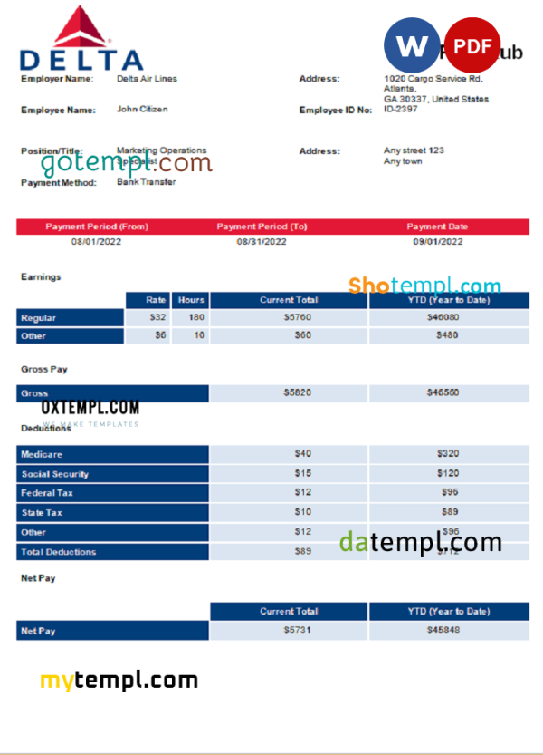 USA Delta Air Lines airlines company pay stub Word and PDF example