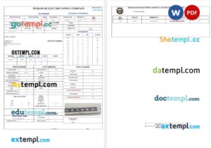 PAKISTAN PESHAWAR ELECTRIC SUPPLY COMPANY business utility bill Word and PDF template