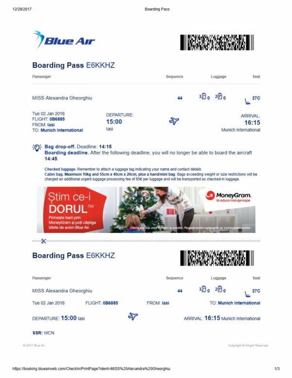 Blue Air boarding pass in Word and PDF formats