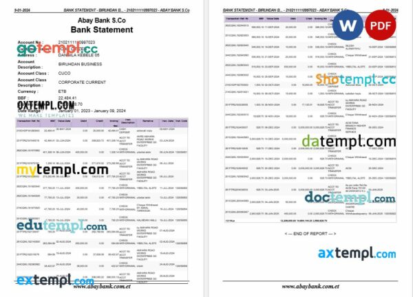 Ethiopia Abay bank statement Word and PDF template, 2 pages