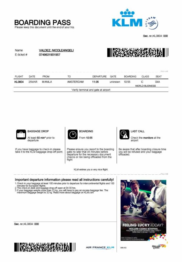 KLM Royal Dutch airlines boarding pass in Word and PDF formats, version 1