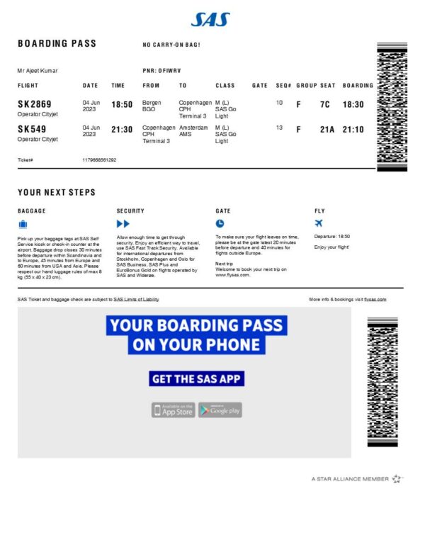 SAS boarding pass in Word and PDF formats