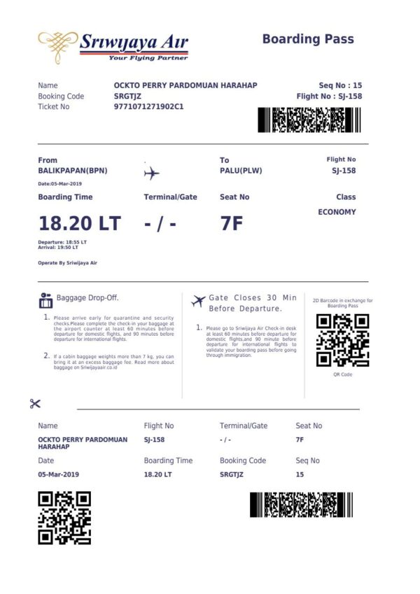 Sriwijaya Air boarding pass in Word and PDF formats