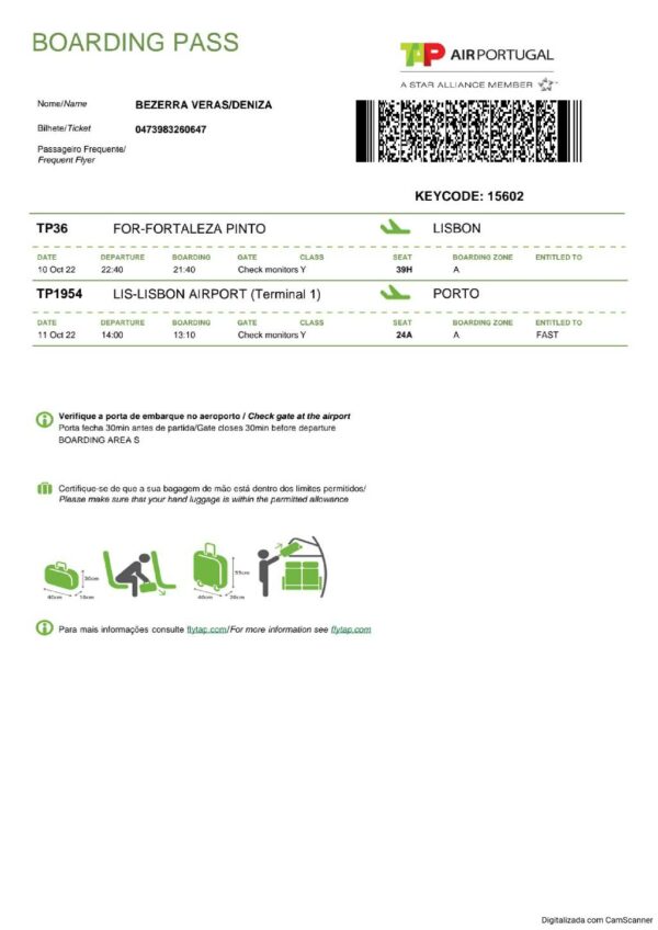 TAP Air boarding pass in Word and PDF formats