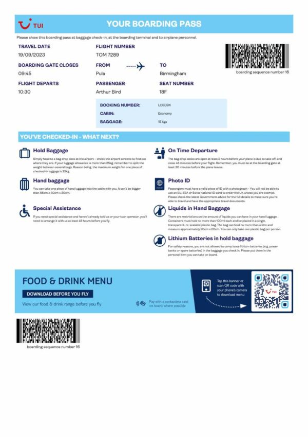 TUI boarding pass in Word and PDF formats