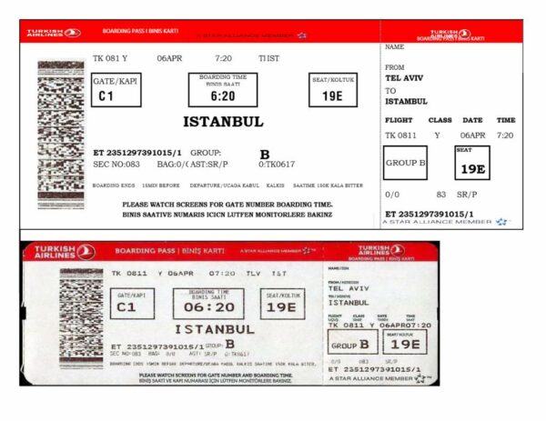 Turkish Airlines boarding pass in Word and PDF formats