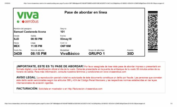 Viva aerobus boarding pass in Word and PDF formats