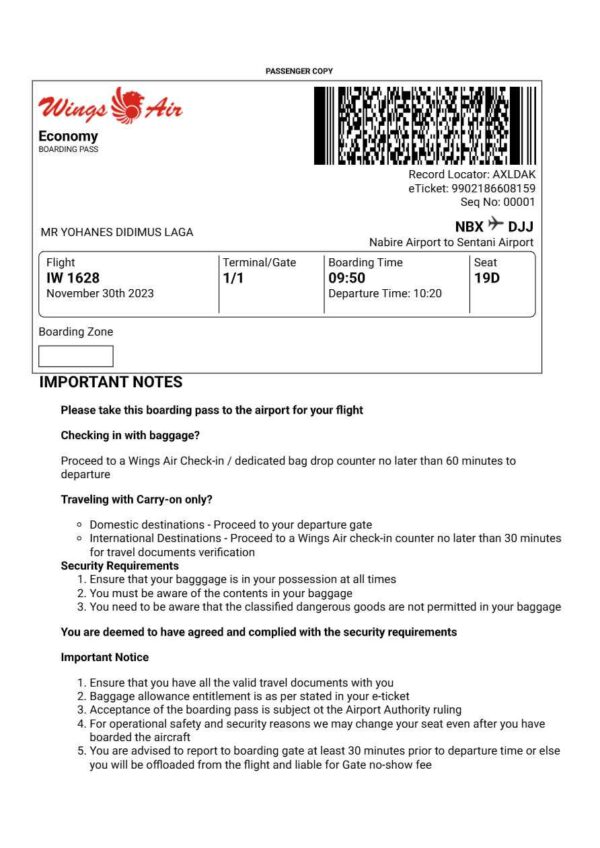 Wings Air boarding pass in Word and PDF formats