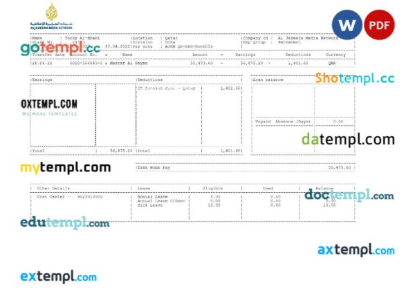 Al Jazeera Media Network pay stub template in Word and PDF formats