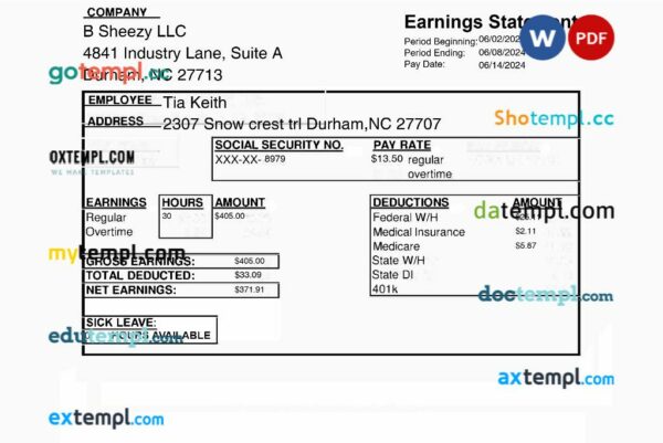 B Sheezy LLC earnings statement template in Word and PDF formats