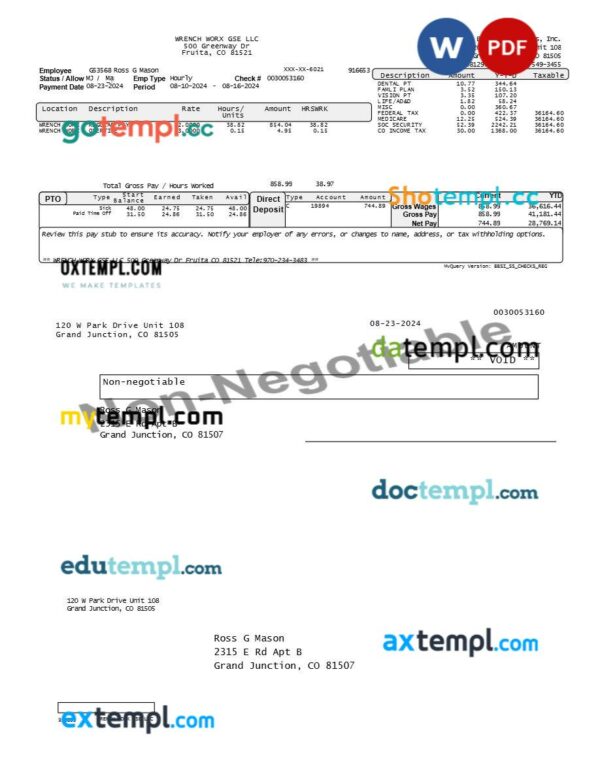 Barrett Business Services employee pay stub template in Word and PDF formats