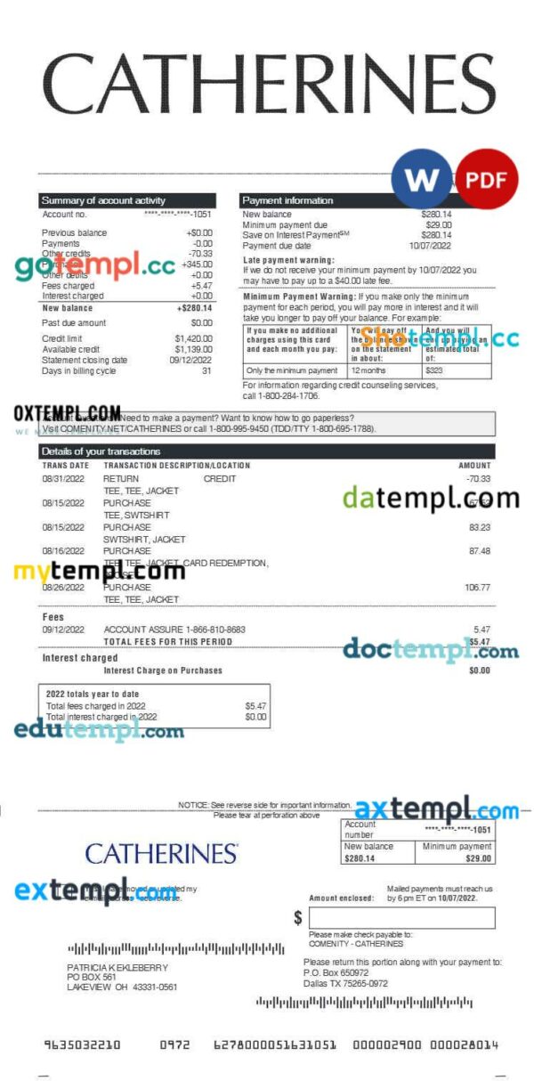 Catherines earnings statement template in Word and PDF formats