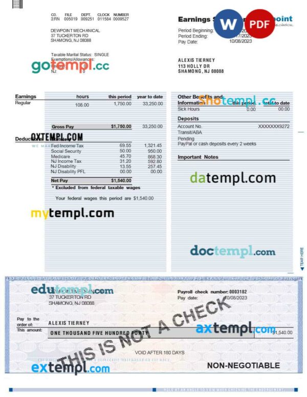 Dewpoint Mechanical earnings statement template in Word and PDF formats