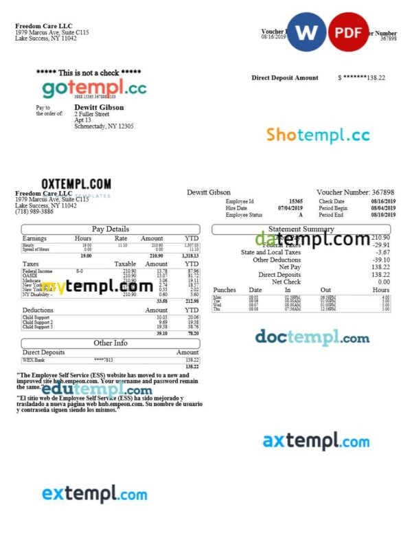 Freedom Care LLC pay stub template in Word and PDF formats