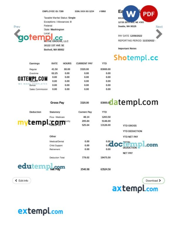 In The Groove LLC earnings statement template in Word and PDF formats