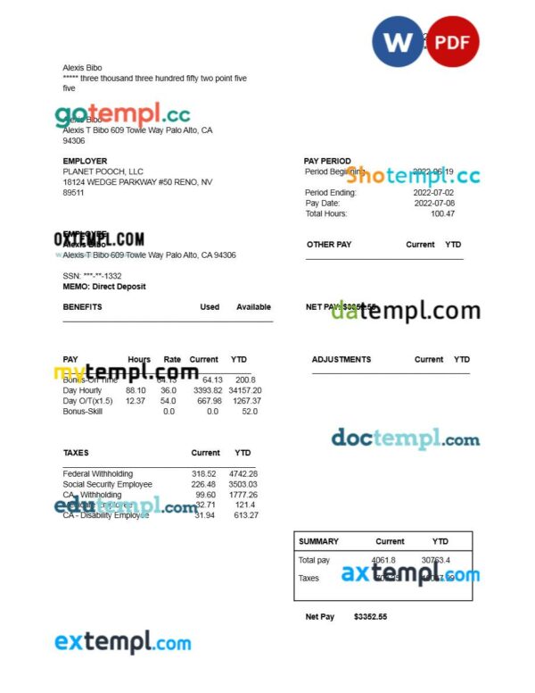 Planet Pooch LLC earnings statement template in Word and PDF formats