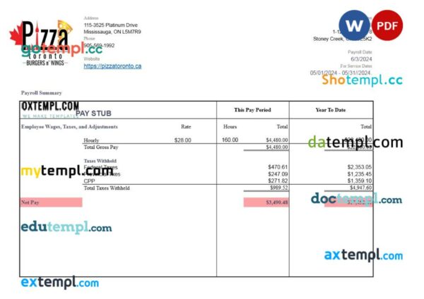 Pizza Toronto pay stub template in Word and PDF formats