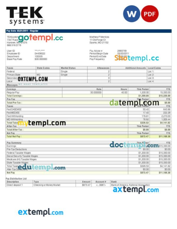 TEKsystems pay stub template in Word and PDF formats