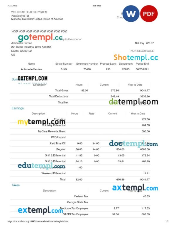 Wellstar Health System pay stub template in Word and PDF formats