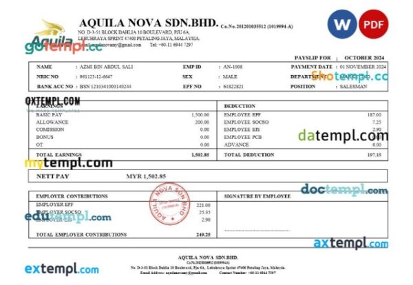 Aquila Nova consultant in Singapore payslip template in Word and PDF formats