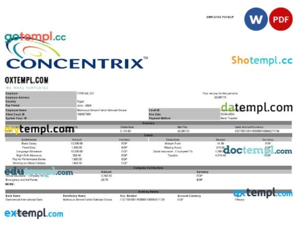 Concentrix payslip template in Word and PDF formats