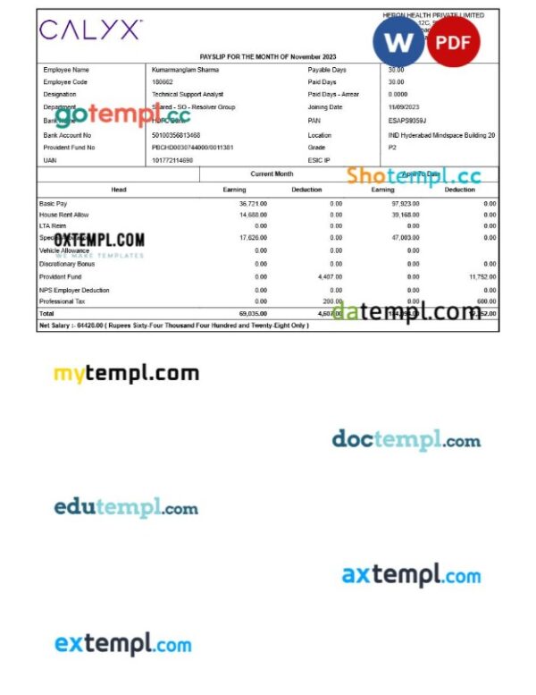 Heron Health payslip template in Word and PDF formats