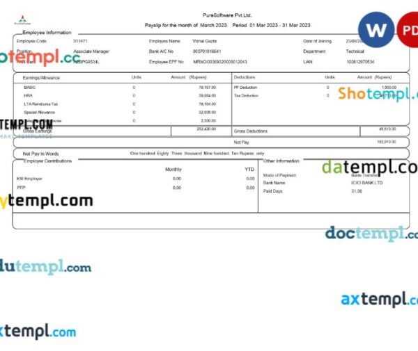 PureSoftware payslip template in Word and PDF formats