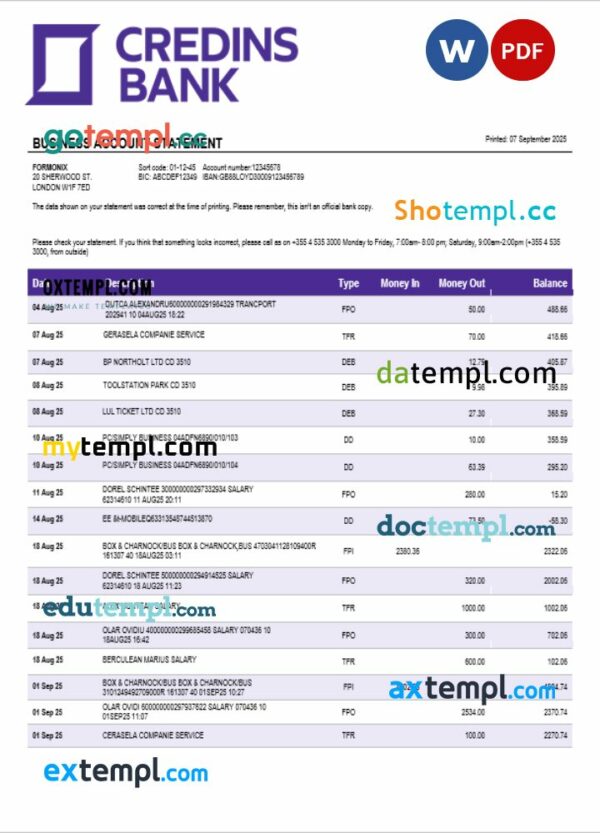 Credins enterprise account statement Word and PDF template