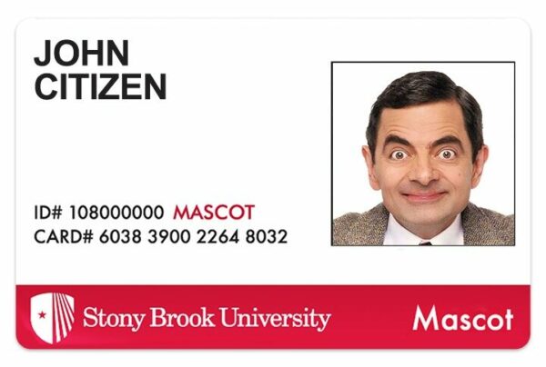 Stony Brook University student ID template in PSD format