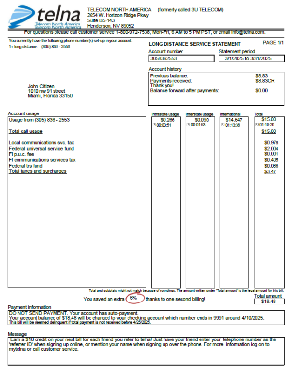 USA Telna utility bill template in Word and PDF formats
