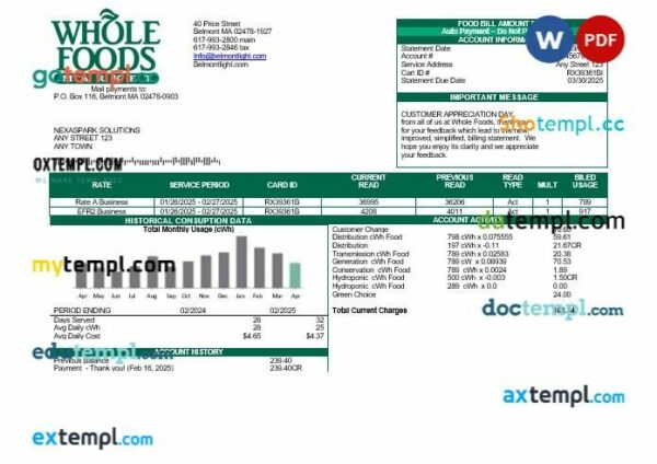USA Whole Foods Market business utility bill template in Word and PDF formats