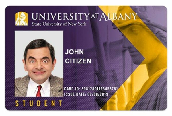 University at Albany (State University of New York) Student ID template in PSD format