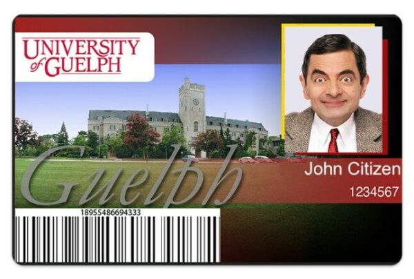 University of Guelph Student ID template in PSD format