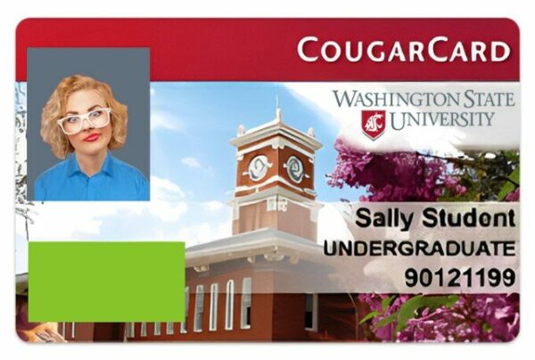 Washington State University Student ID template in PSD format