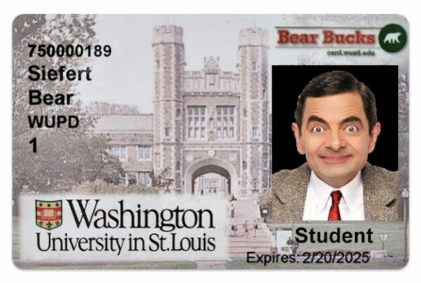 Washington University in St. Louis Student ID template in PSD format