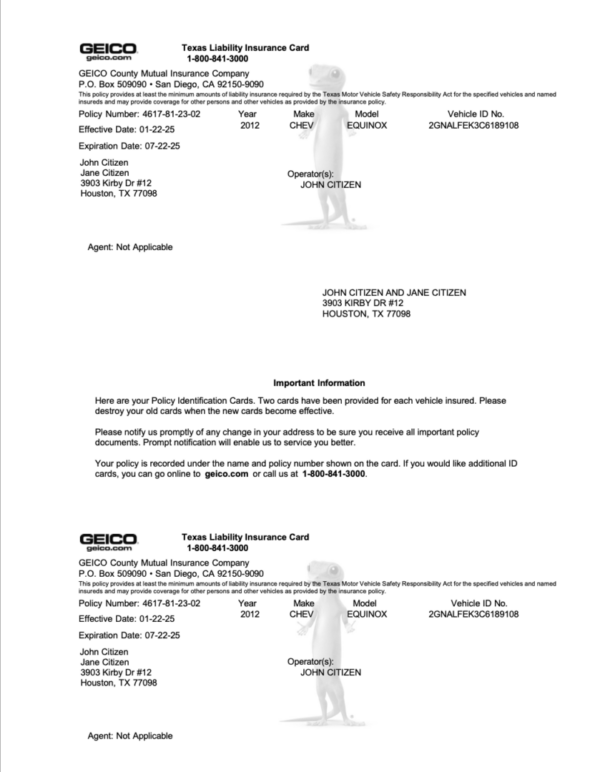 GEICO Texas County Mutual Insurance Company liability insurance card Word and PDF template