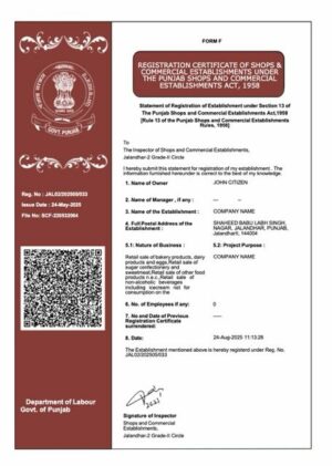 India Punjab registration certificate Word and PDF template