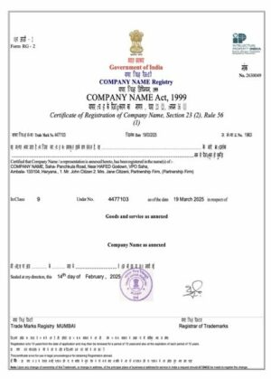 India certificate of registration Word and PDF template, version 3