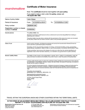 Marshmallow Insurance certificate of motor insurance Word and PDF template